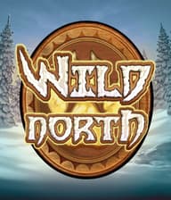 Wild North