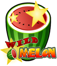 Wild Melon