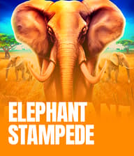 Elephant Stampede