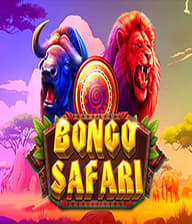 Bongo Safari