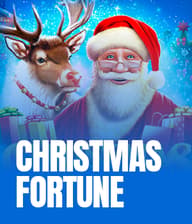 Christmas Fortune