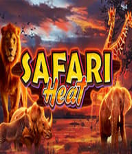 Safari Heat