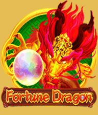 Fortune Dragon