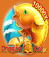 DragonKoi