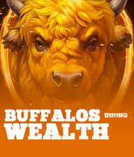 Buffalo’s Wealth