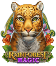 Rainforest Magic