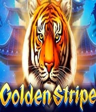 Golden Stripe