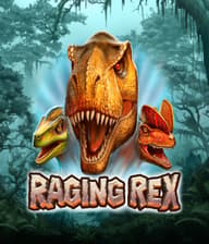 Raging Rex