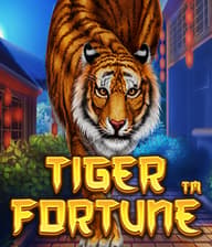 Tiger Fortune Scratch