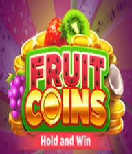 Fruit Coins Hold  Win 91