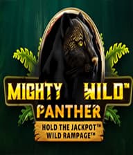 Mighty Wild
