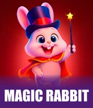 Magic Rabbit