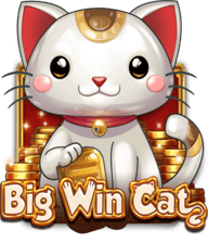 Big Win Cat