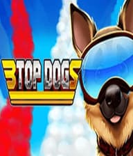 3 Top Dogs 95