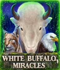 White Buffalo Miracles Scratch